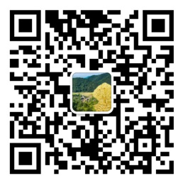 55世纪官网地址